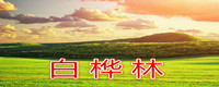 黄花沟白桦林旅游接待